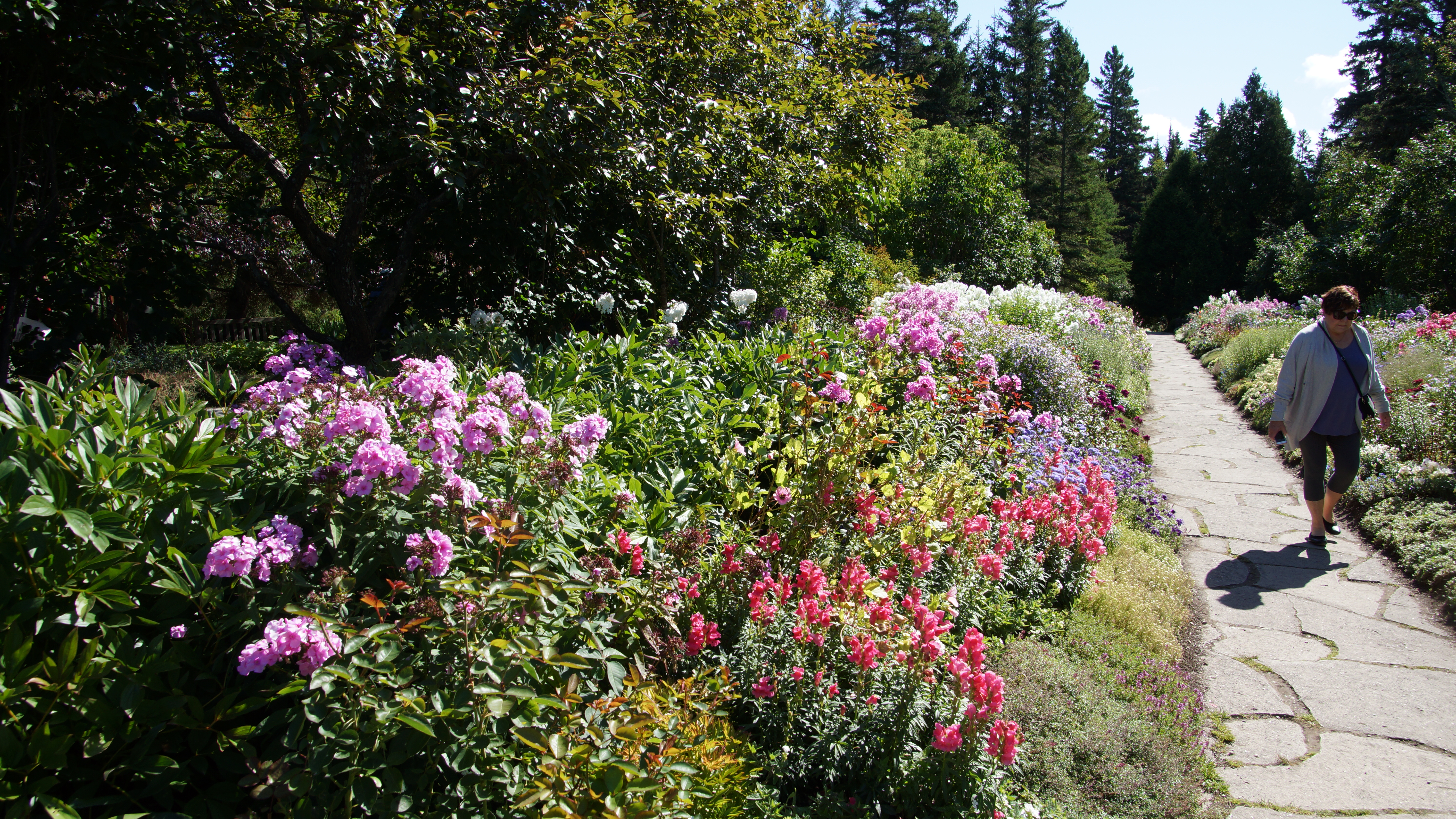 Jardin de métis