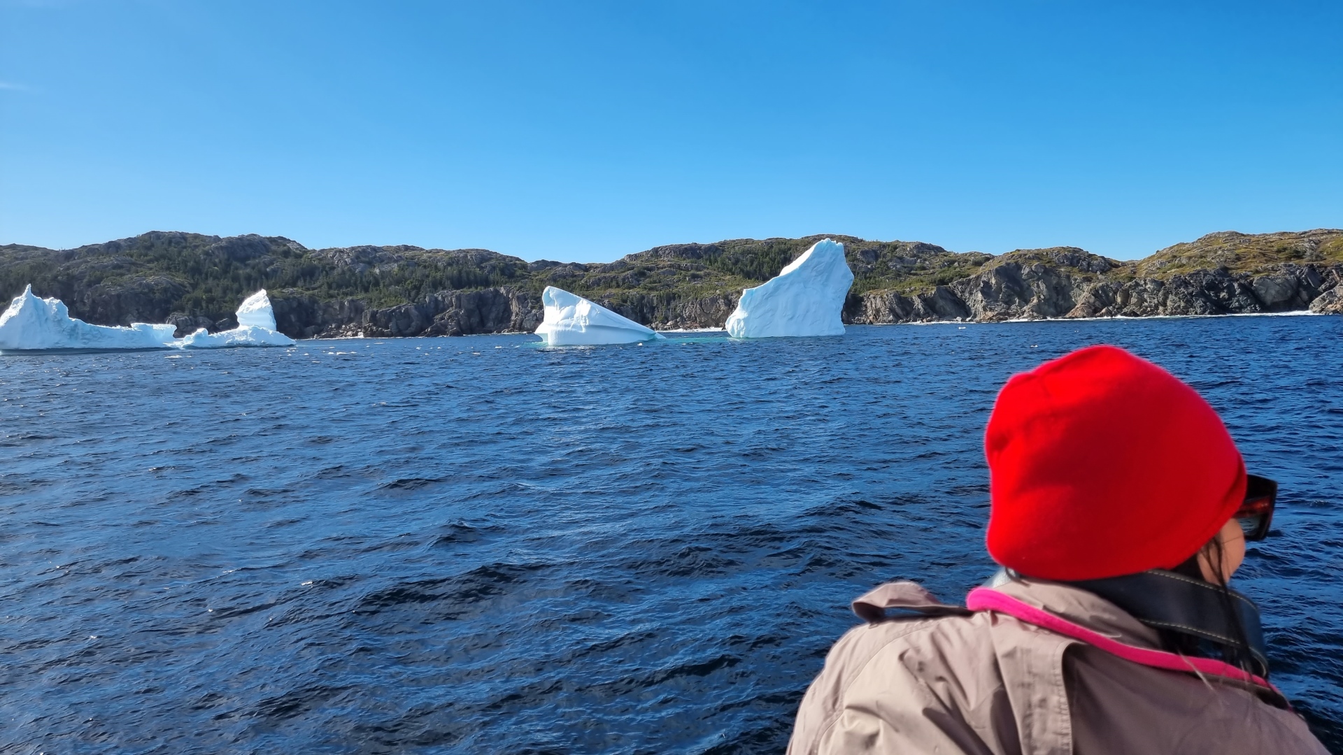 Iceberg Alley