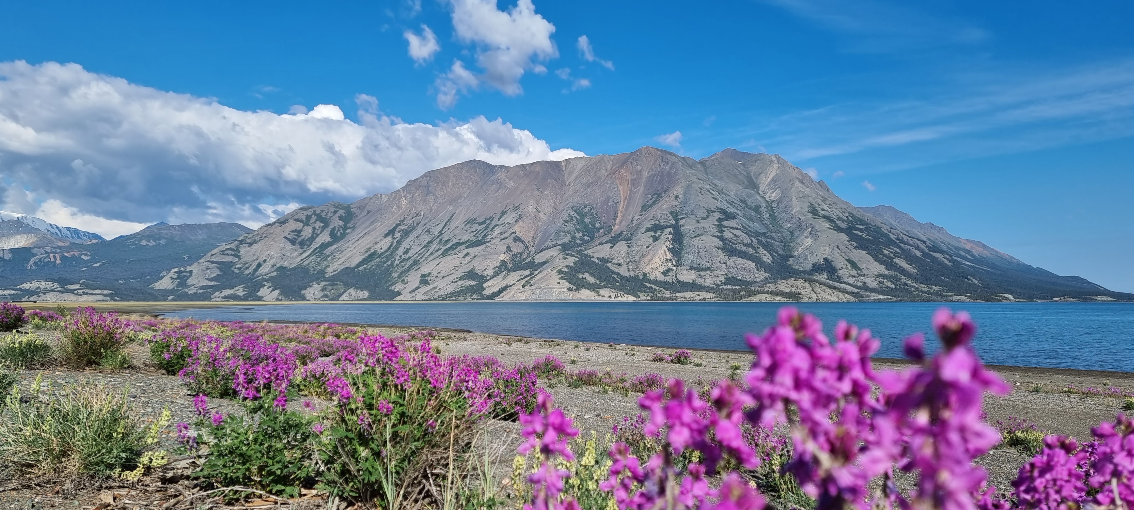 Kluane Lake