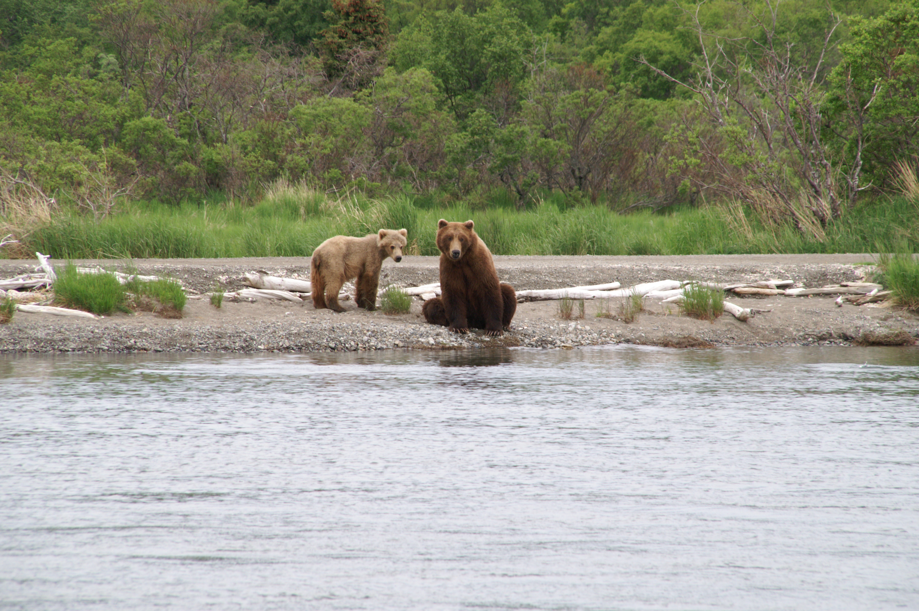 Alaska und Yukon Explorer